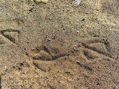 ɰγɵcCɰCʲô^(q)e